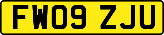 FW09ZJU
