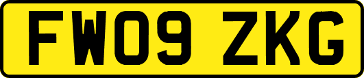 FW09ZKG