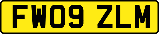 FW09ZLM