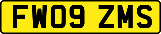 FW09ZMS