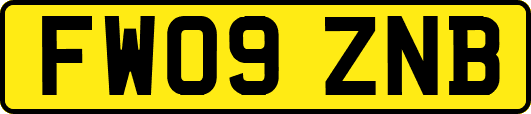 FW09ZNB