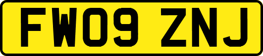 FW09ZNJ