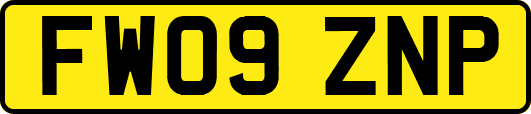 FW09ZNP