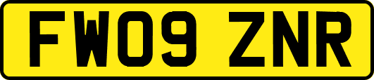 FW09ZNR