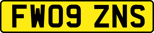 FW09ZNS