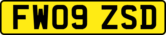 FW09ZSD