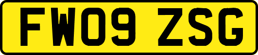 FW09ZSG