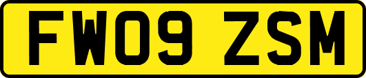 FW09ZSM