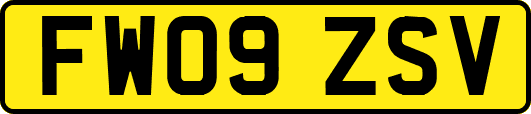 FW09ZSV