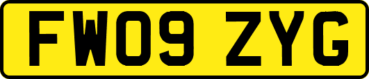 FW09ZYG