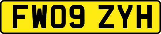FW09ZYH