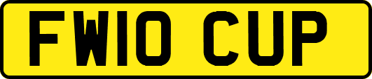 FW10CUP