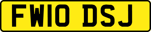 FW10DSJ