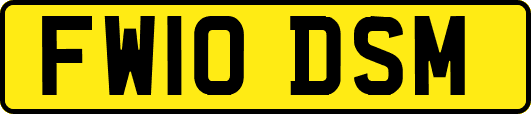 FW10DSM