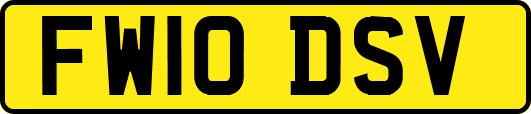 FW10DSV