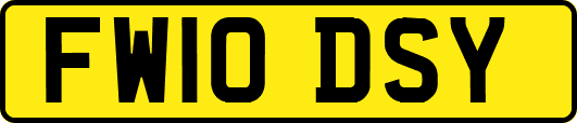 FW10DSY