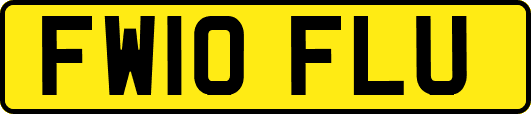 FW10FLU