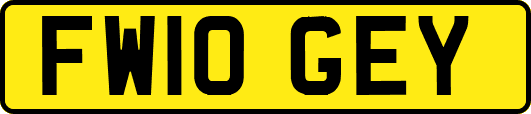 FW10GEY