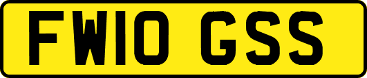FW10GSS