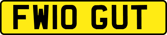 FW10GUT