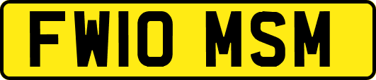 FW10MSM