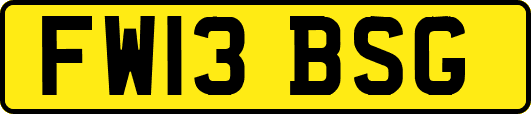 FW13BSG