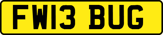 FW13BUG