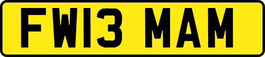 FW13MAM
