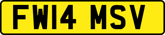 FW14MSV