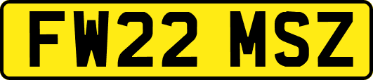 FW22MSZ