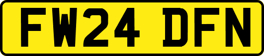 FW24DFN