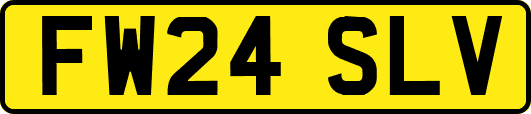 FW24SLV