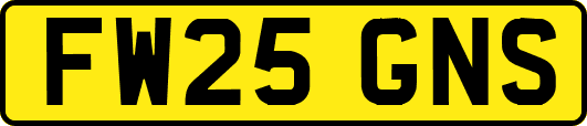 FW25GNS