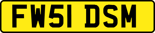 FW51DSM