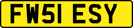 FW51ESY