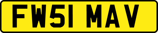 FW51MAV