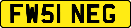 FW51NEG