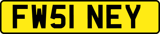 FW51NEY