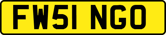 FW51NGO
