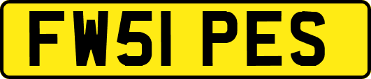 FW51PES