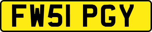 FW51PGY