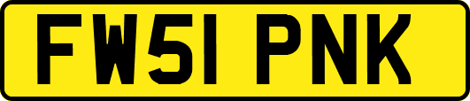 FW51PNK