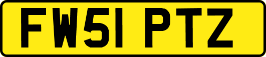 FW51PTZ