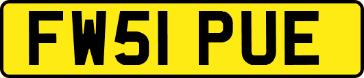 FW51PUE