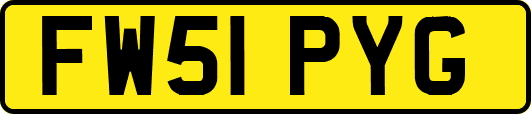 FW51PYG
