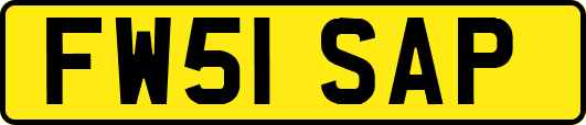 FW51SAP