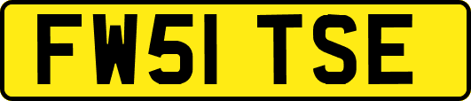 FW51TSE
