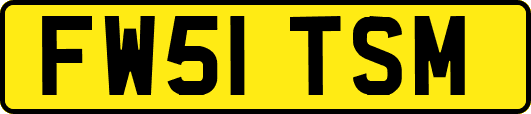 FW51TSM