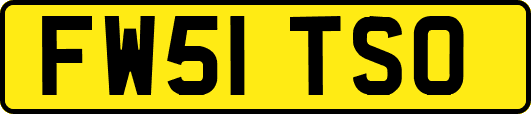 FW51TSO