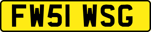 FW51WSG